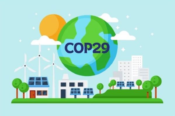 What is COP29 and why does it matter for business?